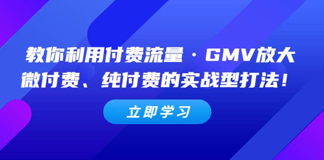 教你利用付费流量·GMV放大，微付费、纯付费的实战型打法-阿戒项目库