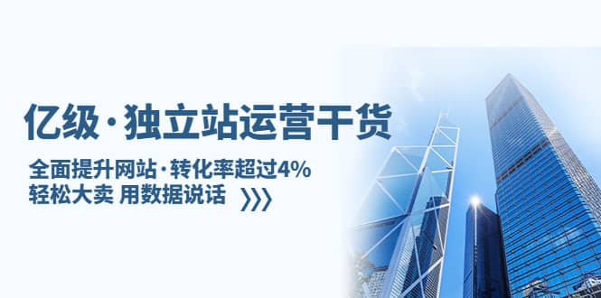 独立站运营干货：全面提升网站·转化率超过4%，轻松大卖 用数据说话-阿戒项目库