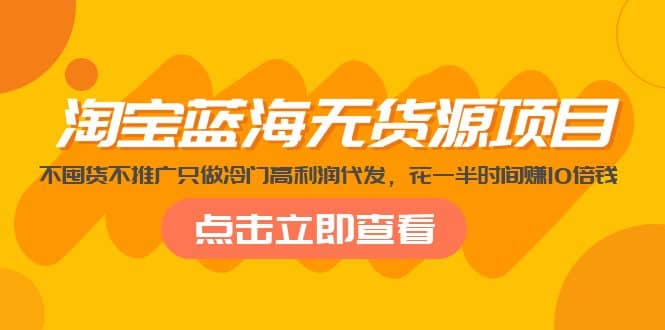 淘宝蓝海无货源项目，不囤货不推广只做冷门高利润代发-阿戒项目库