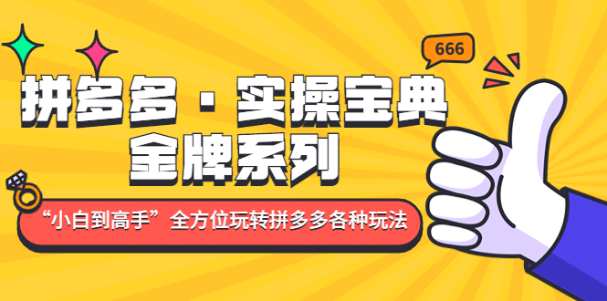 拼多多·实操宝典：金牌系列“小白到高手”带你全方位玩转拼多多各种玩法-阿戒项目库