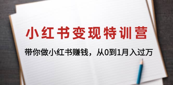 小红书变现特训营：带你做小红书项目-阿戒项目库