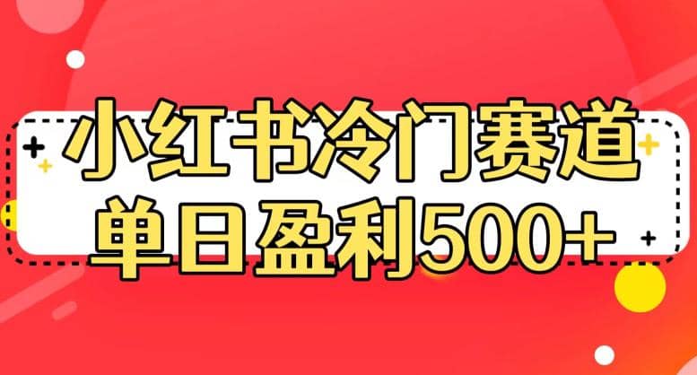 小红书冷门赛道，单日盈利500 【揭秘】-阿戒项目库