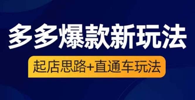 2023拼多多爆款·新玩法：起店思路 直通车玩法（3节精华课）-阿戒项目库