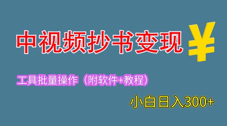 2023中视频抄书变现（附工具 教程），一天300 ，特别适合新手操作的副业-阿戒项目库