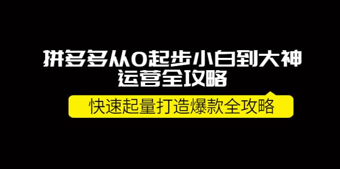 拼多多从0起步小白到大神运营全攻略-阿戒项目库