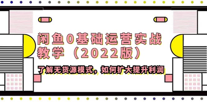 闲鱼0基础运营实战教学（2022版）了解无货源模式，如何扩大提升利润-阿戒项目库