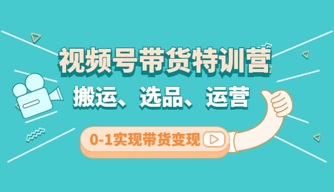 视频号带货特训营(第3期)：搬运、选品、运营、0-1实现带货变现-阿戒项目库