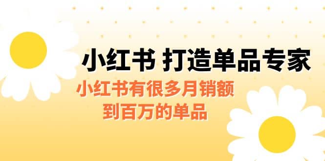 某公众号付费文章《小红书 打造单品专家》小红书有很多月销额到百万的单品-阿戒项目库