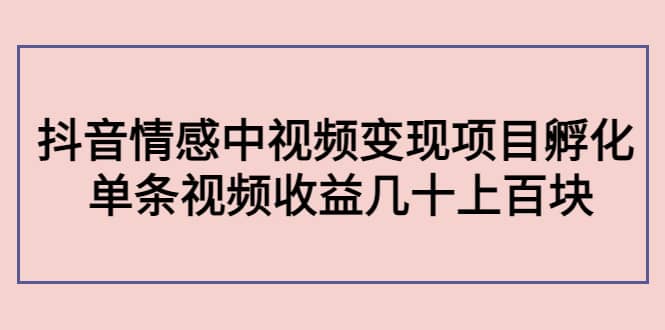 抖音情感中视频变现项目孵化-阿戒项目库