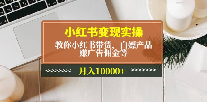 小红书变现实操：教你小红书带货，白嫖产品，赚广告佣金等-阿戒项目库