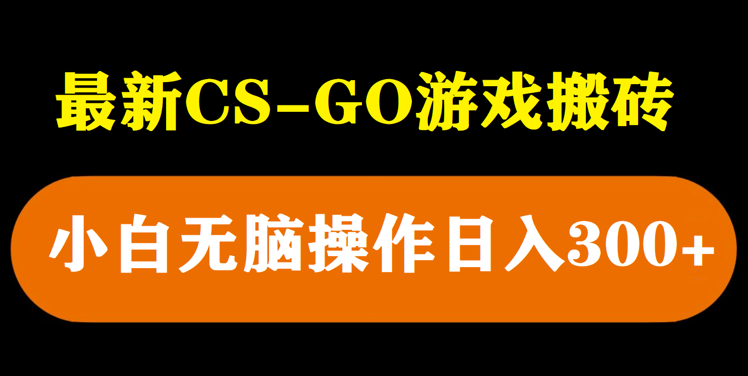 最新csgo游戏搬砖游戏，无需挂机小白无脑也能日入300-阿戒项目库