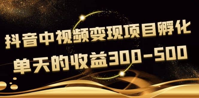 黄岛主《抖音中视频变现项目孵化》单天的收益300-500 操作简单粗暴-阿戒项目库