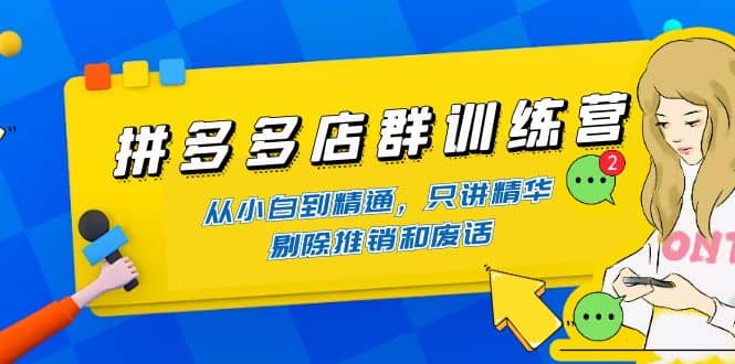 拼多多店群训练营：从小白到精通，只讲精华，剔除推销和废话-阿戒项目库