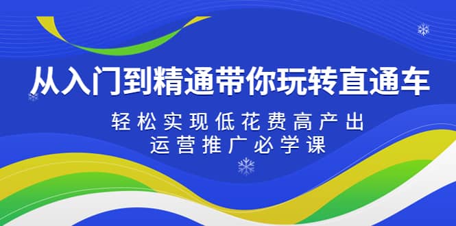 从入门到精通带你玩转直通车：轻松实现低花费高产出，35节运营推广必学课-阿戒项目库