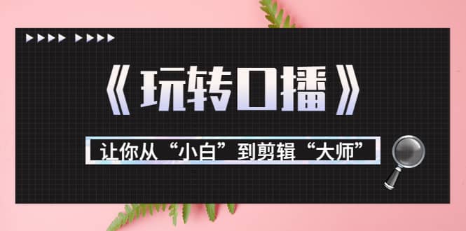 月营业额700万 大佬教您《玩转口播》让你从“小白”到剪辑“大师”-阿戒项目库