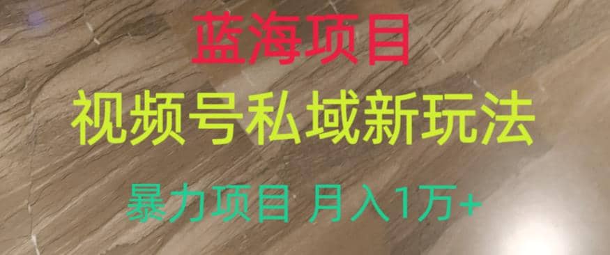 蓝海项目，视频号私域新玩法，暴力项目月入1万 【揭秘】-阿戒项目库