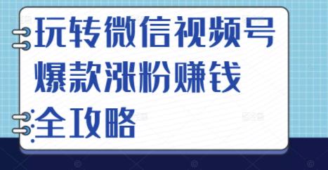 玩转微信视频号爆款涨粉赚钱全攻略，让你快速抓住流量风口，收获红利财富-阿戒项目库