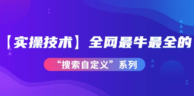 【实操技术】全网最牛最全的“搜索自定义”系列！价值698元-阿戒项目库