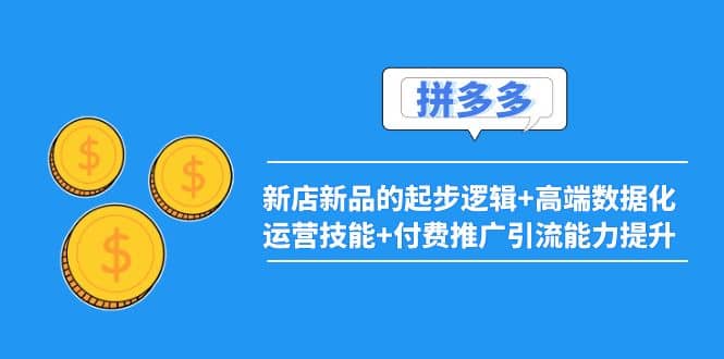 2022拼多多：新店新品的起步逻辑 高端数据化运营技能 付费推广引流能力提升-阿戒项目库