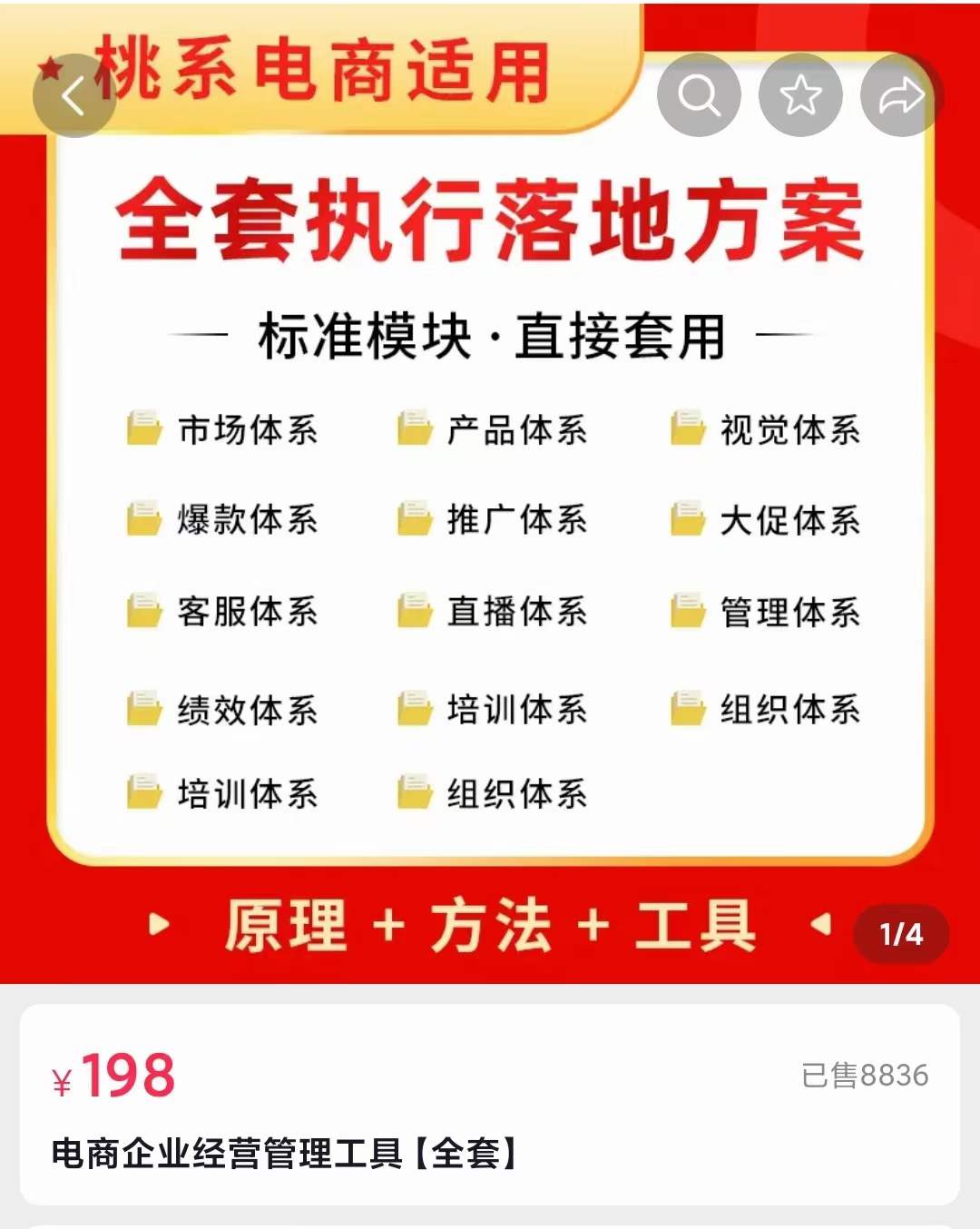 外面卖198·电商企业经营管理工具：全套执行落地方案 标准模块·直接套用-阿戒项目库