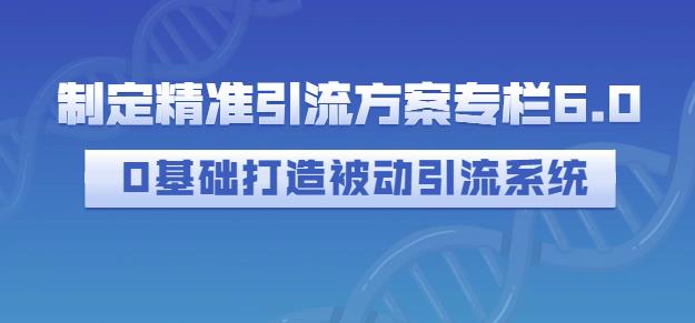 制定精准引流方案专栏6.0，0基础打造被动引流系统-阿戒项目库