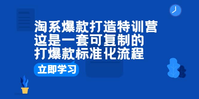 淘系爆款打造特训营：这是一套可复制的打爆款标准化流程-阿戒项目库