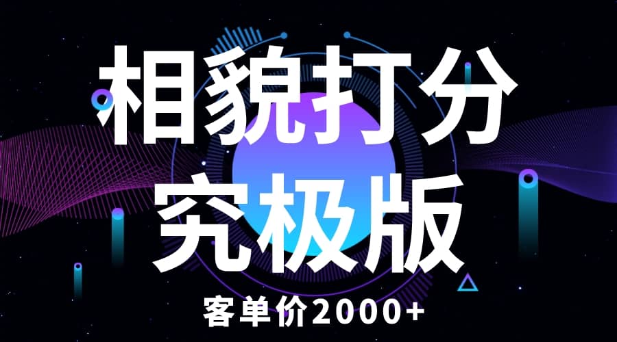 相貌打分究极版，客单价2000 纯新手小白就可操作的项目-阿戒项目库