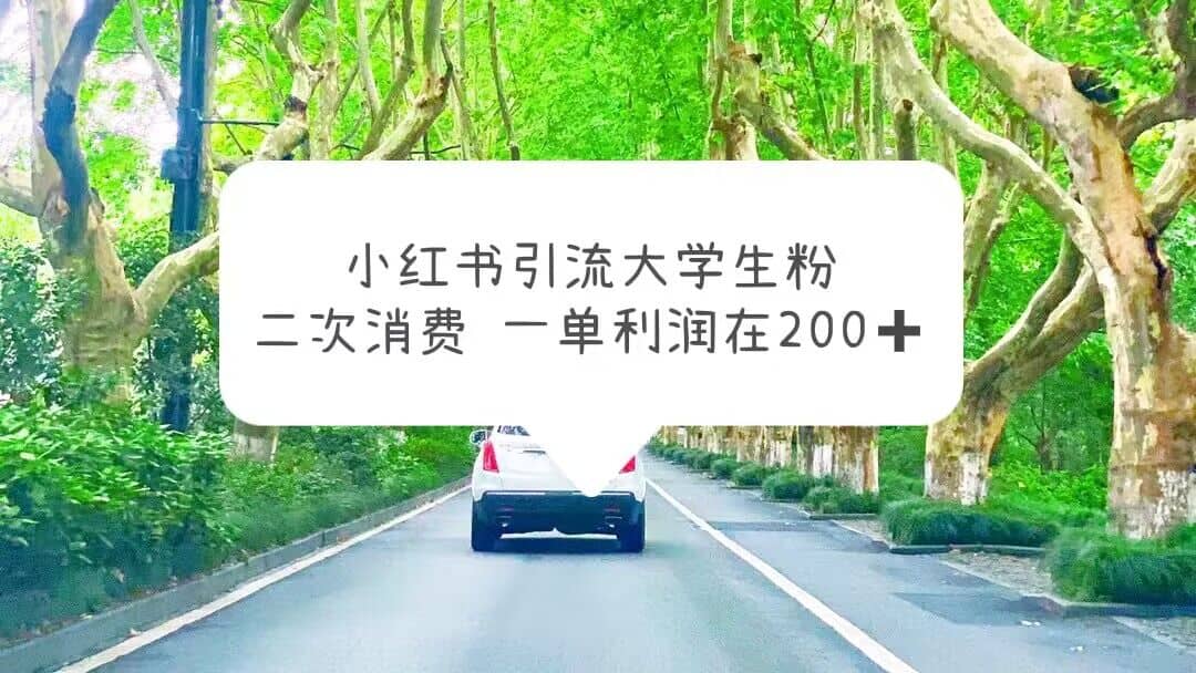 小红书引流大学生粉，变现项目，一单利润在200 （教程 资源）-阿戒项目库