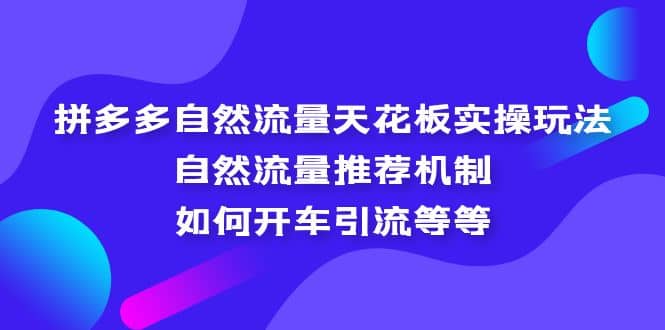 拼多多自然流量天花板实操玩法：自然流量推荐机制，如何开车引流等等-阿戒项目库