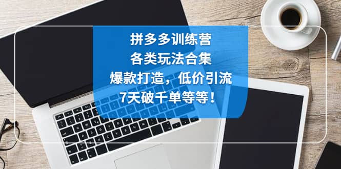 拼多多训练营：各玩法合集，爆款打造，低价引流，7天破千单等等-阿戒项目库