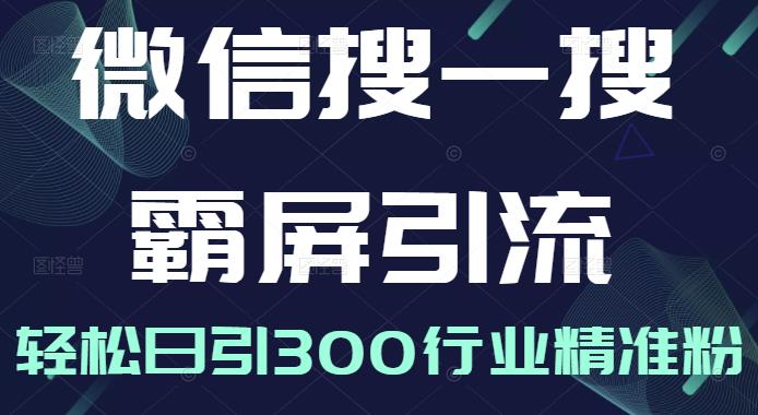 微信搜一搜霸屏引流课，打造被动精准引流系统，轻松日引300行业精准粉【无水印】-阿戒项目库