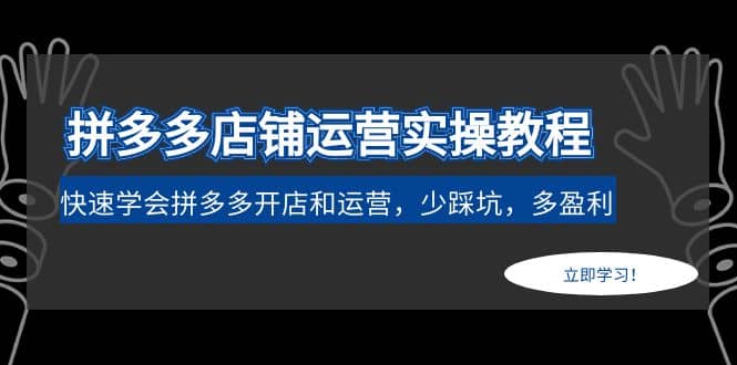 拼多多店铺运营实操教程：快速学会拼多多开店和运营，少踩坑，多盈利-阿戒项目库