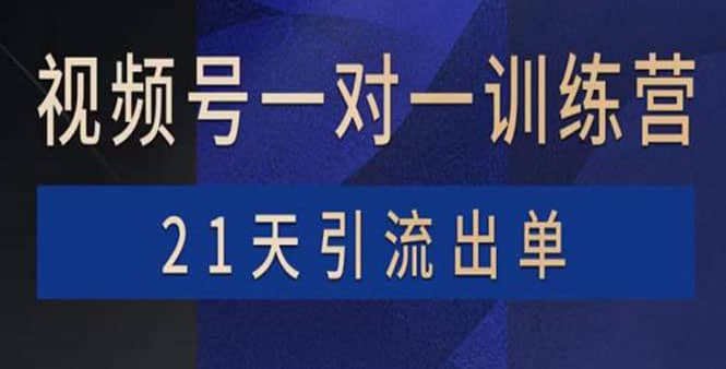 视频号训练营：带货，涨粉，直播，游戏，四大变现新方向，21天引流出单-阿戒项目库