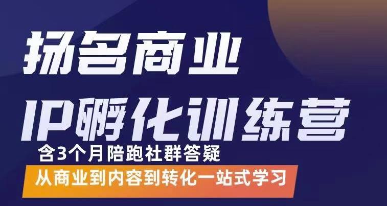 杨名商业IP孵化训练营，从商业到内容到转化一站式学 价值5980元-阿戒项目库