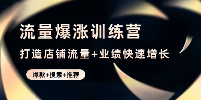 流量爆涨训练营：打造店铺流量 业绩快速增长 (爆款 搜索 推荐)-阿戒项目库