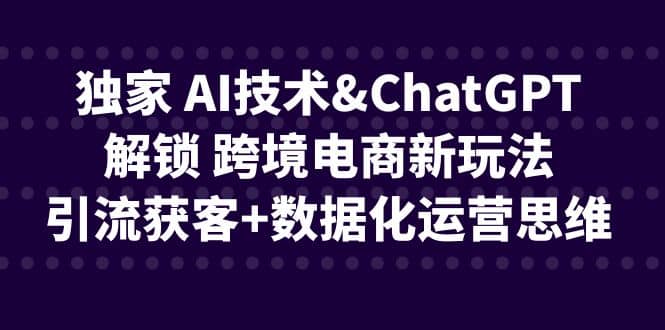 独家 AI技术ChatGPT解锁 跨境电商新玩法，引流获客 数据化运营思维-阿戒项目库