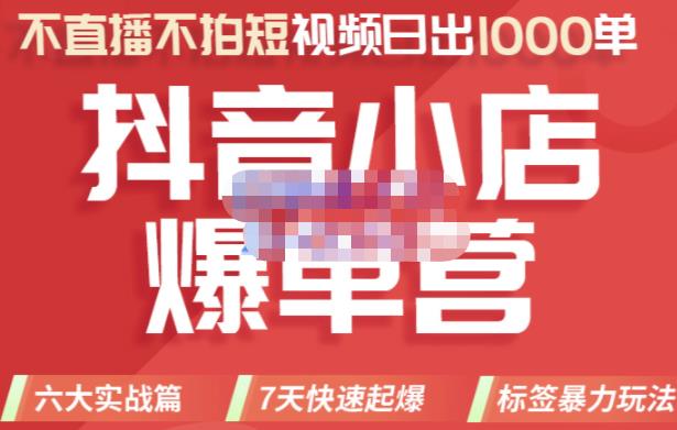 推易电商·2022年抖音小店爆单营，不直播、不拍短视频、日出1000单，暴力玩法-阿戒项目库