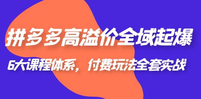 拼多多-高溢价 全域 起爆，6大课程体系，付费玩法全套实战-阿戒项目库