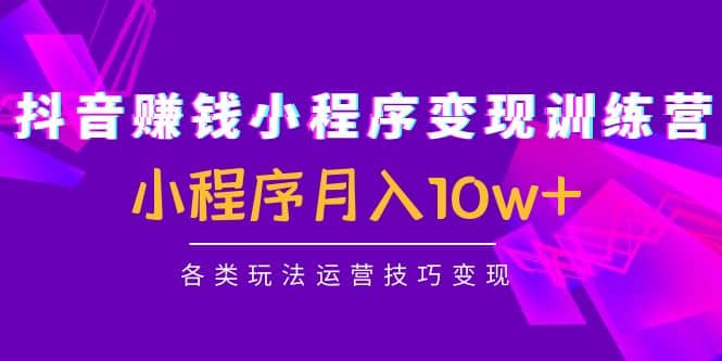 抖音小程序变现训练营：小程序各类玩法运营技巧变现-阿戒项目库