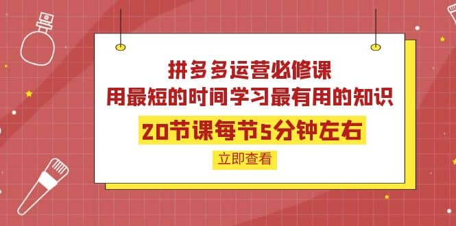 拼多多运营必修课：20节课每节5分钟左右，用最短的时间学习最有用的知识-阿戒项目库