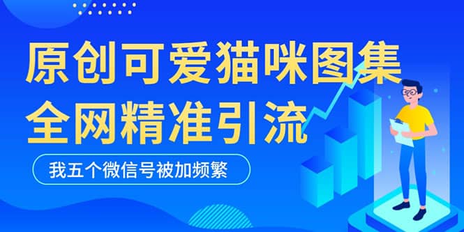 黑科技纯原创可爱猫咪图片，全网精准引流，实操5个VX号被加频繁-阿戒项目库