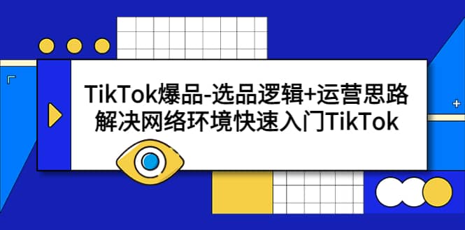 TikTok爆品-选品逻辑 运营思路：解决网络环境快速入门TikTok-阿戒项目库