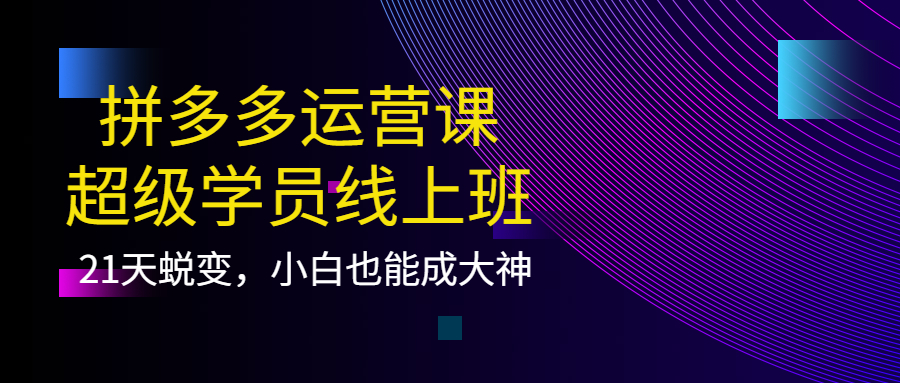 拼多多运营课：超级学员线上班，21天蜕变，小白也能成大神-阿戒项目库