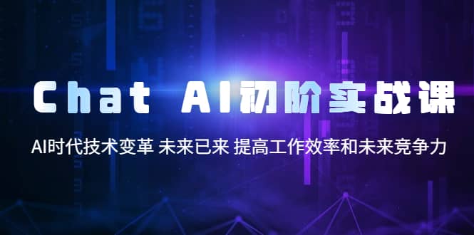 Chat AI初阶实战课，AI时代技术变革 未来已来 提高工作效率和未来竞争力-阿戒项目库