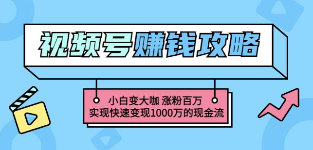 玩转微信视频号赚钱：小白变大咖涨粉百万实现快速变现1000万的现金流-阿戒项目库