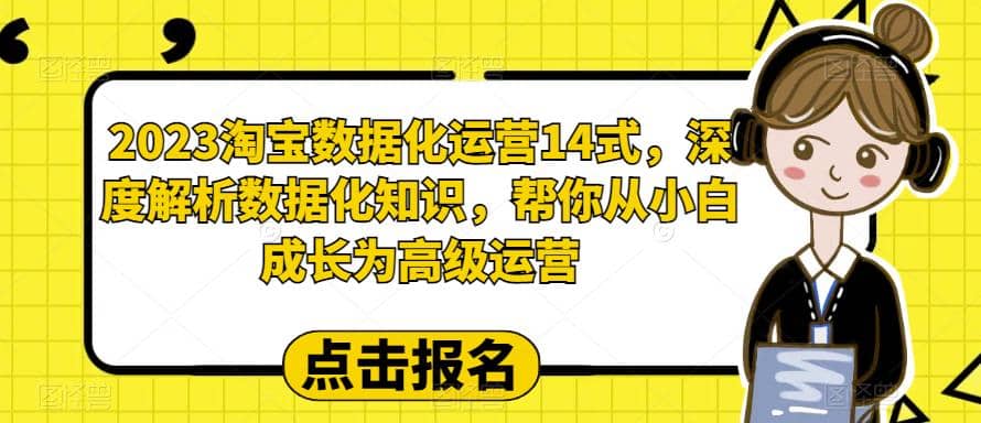 2023淘宝数据化-运营 14式，深度解析数据化知识，帮你从小白成长为高级运营-阿戒项目库