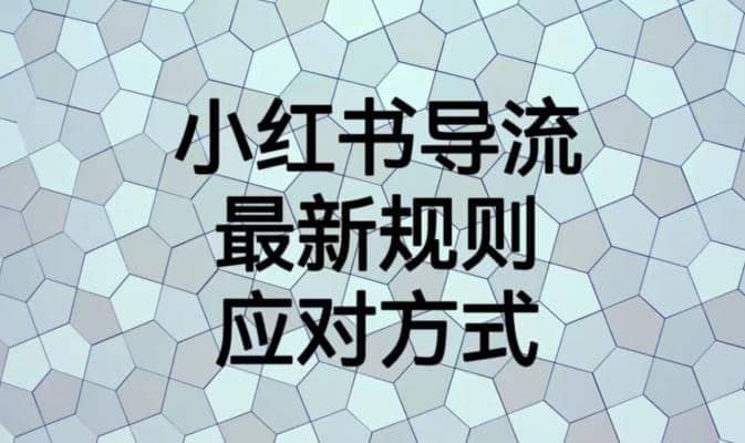 小红书导流最新规则应对方式【揭秘】-阿戒项目库