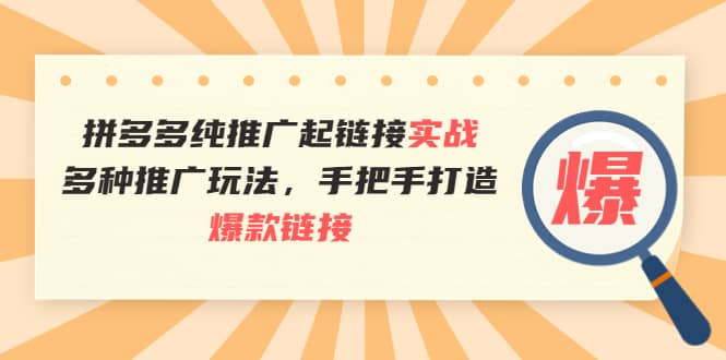 拼多多纯推广起链接实战：多种推广玩法，手把手打造爆款链接-阿戒项目库