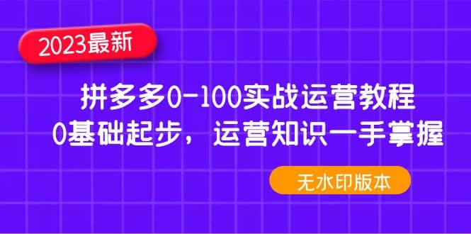 2023拼多多0-100实战运营教程，0基础起步，运营知识一手掌握（无水印）-阿戒项目库