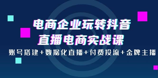 电商企业玩转抖音直播电商实战课：账号搭建 数据化直播 付费投流 金牌主播-阿戒项目库